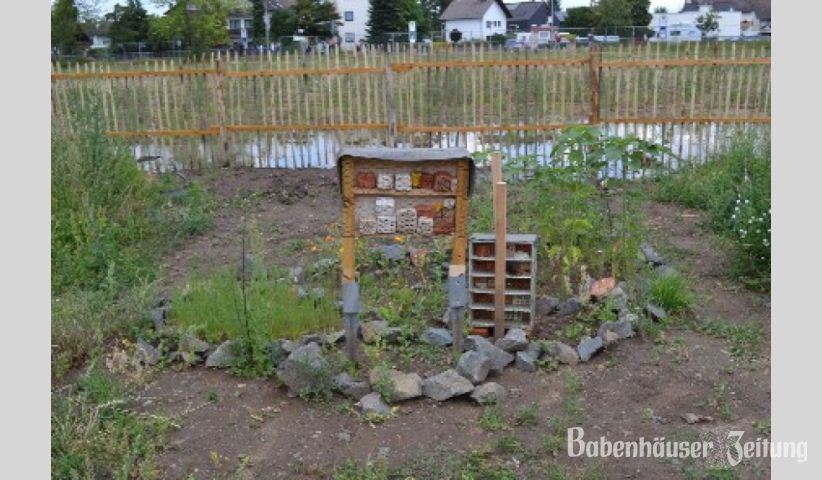 Das selbstgebaute Insektenhotel der Sch&uuml;ler erfreut sich schon gro&szlig;er Beliebtheit.