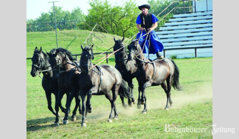 &bdquo;Ungarische Post&rdquo; wird diese Pferd-Reiter-Formation genannt.
