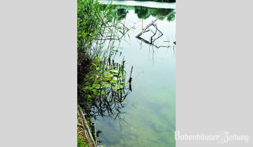 Die gef&uuml;hrten Rundg&auml;nge um den naturnah gestalteten See werden gut angenommen. Neben romantischer Natur lernt man viel &uuml;ber das &bdquo;Biotop See&ldquo;, das hier ganz bewusst gepflegt und ausbalanciert wird.