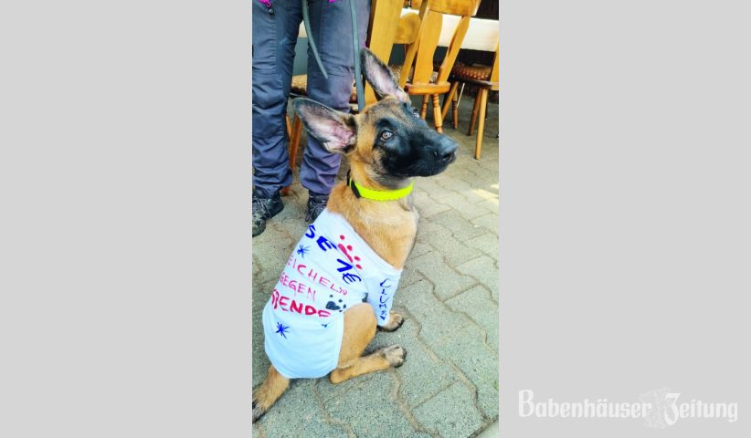 ... war als Unterst&uuml;tzung beim Losverkauf f&uuml;r die gro&szlig;e Tombola einfach unwiderstehlich.