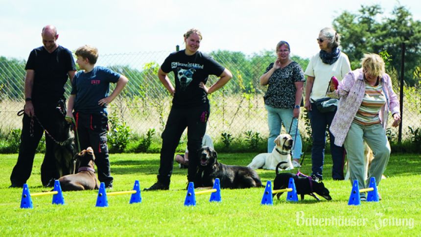 Clumsy Dogs Babenhausen:: Zahlreiche Gäste beim Sommerfest auf dem Schäferhundeplatz