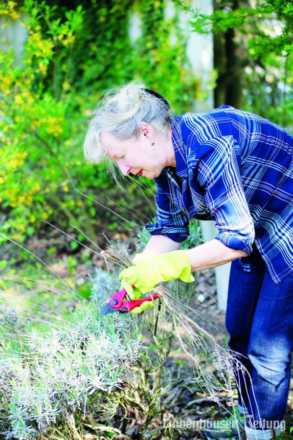 Garten 2 | Babenhäuser Zeitung